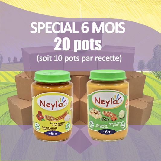 8- SPECIAL 6 MOIS